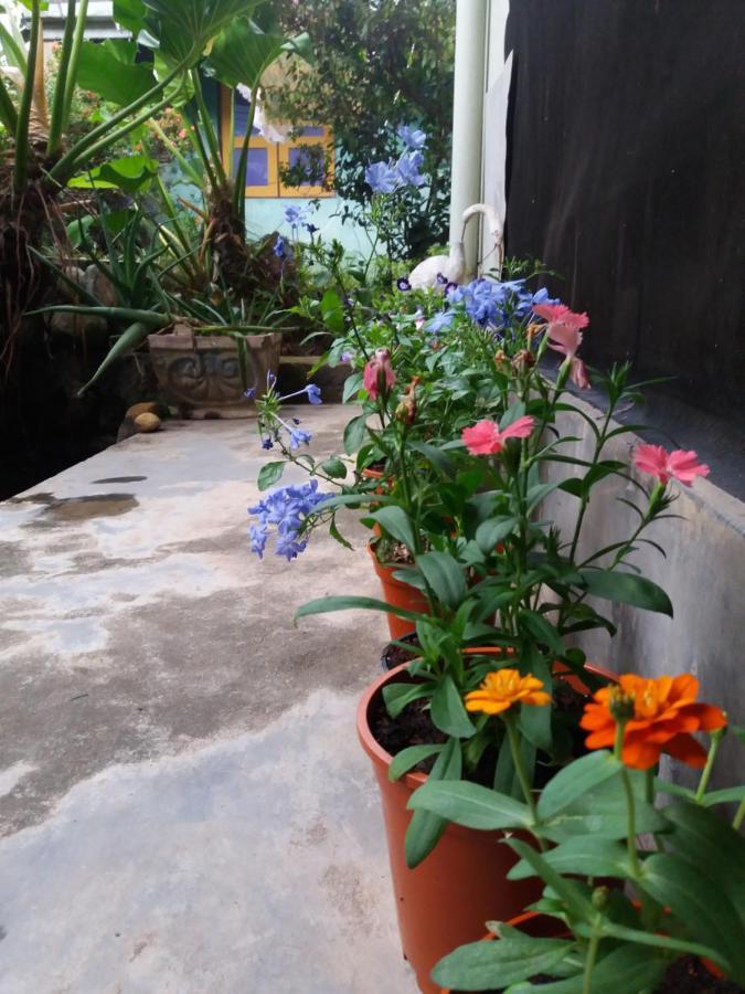 Mazz Homestay Негомбо Экстерьер фото