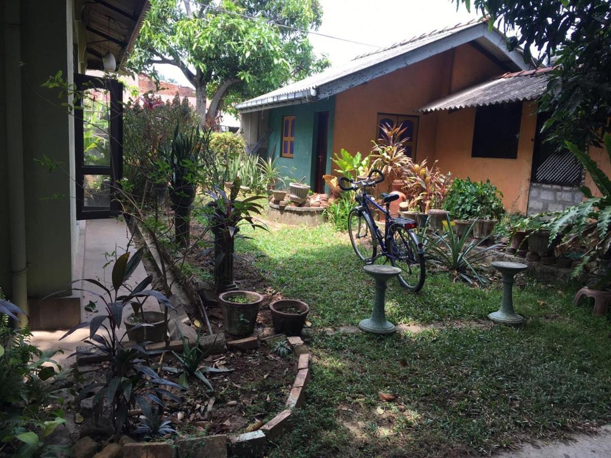 Mazz Homestay Негомбо Экстерьер фото